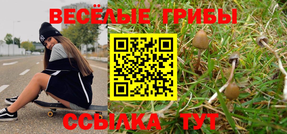 Псилоцибиновые грибы Psilocybine cubensis Белогорск