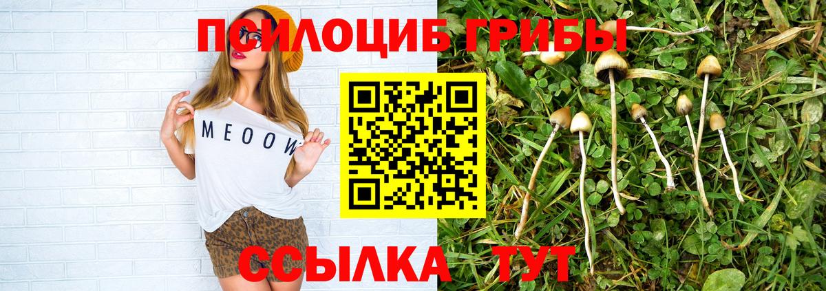 Белогорск  купить наркотики цена  Вход с VPN  Псилоцибиновые грибы Cubensis  Галлюциногенные грибы MAGIC MUSHROOMS 